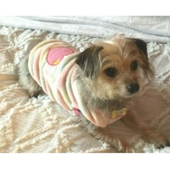 Dog Sweater Fleece Cream & Pink Heart Pastel Stripes NEW - Picture 1 of 6